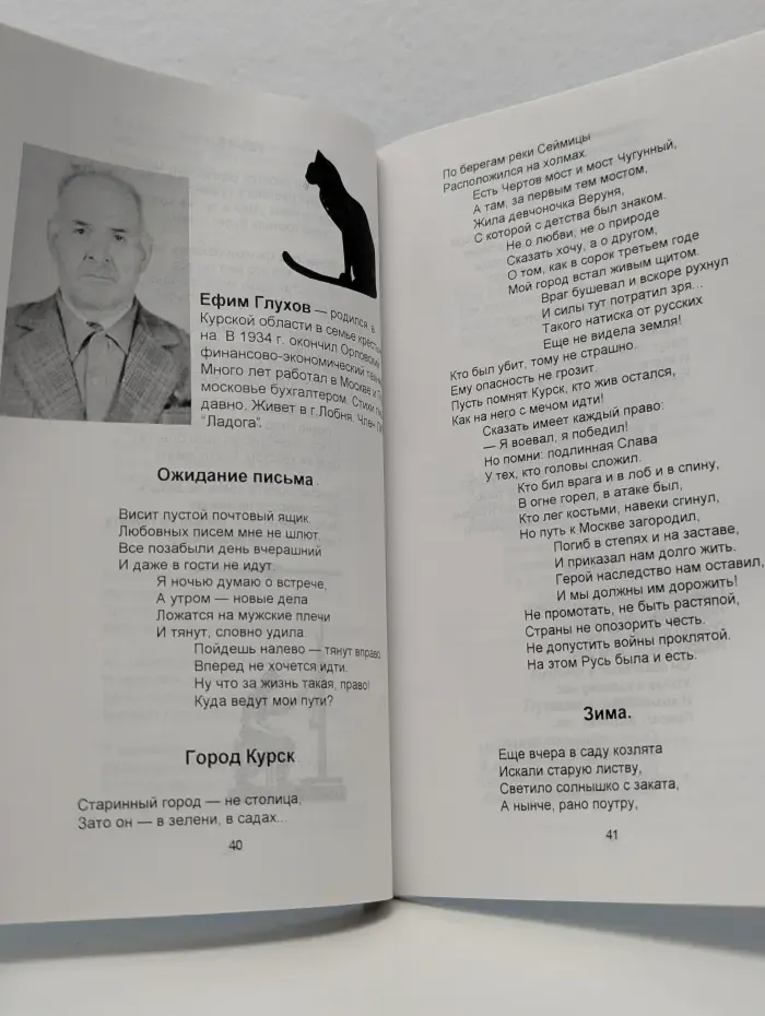 Чайки над Лобней. Поэтический сборник литобъединения Ладога