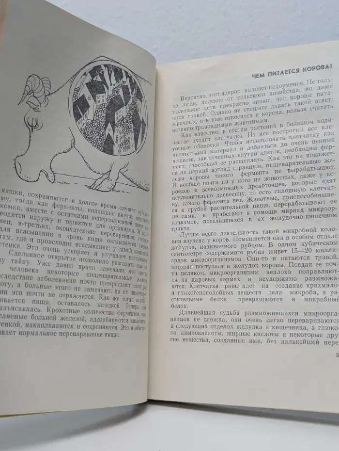 Эврика. Занимательная физиология