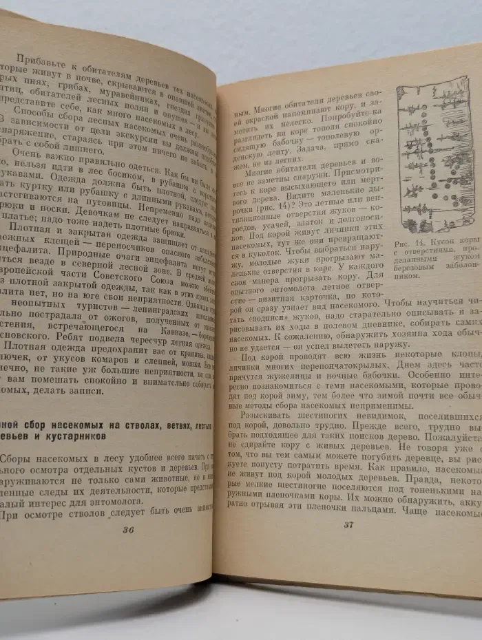 Ваша коллекция. Сбор и изготовление зоологических коллекций