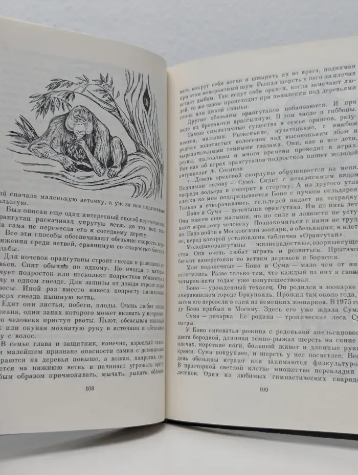 Обезьяны, обезьяны, обезьяны
