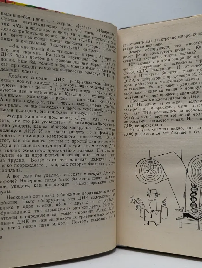 Эврика. Закономерные чудеса