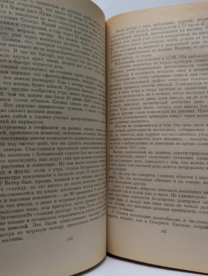 Шмели и термиты