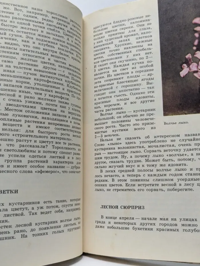 Из жизни зеленого мира