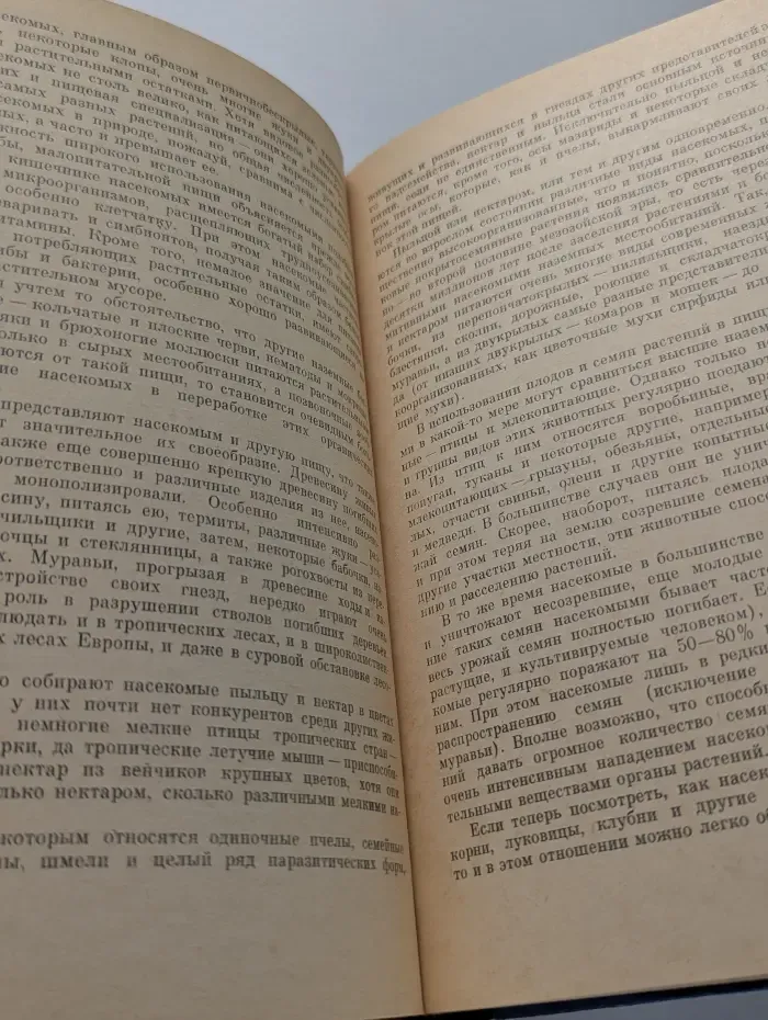 В мире насекомых