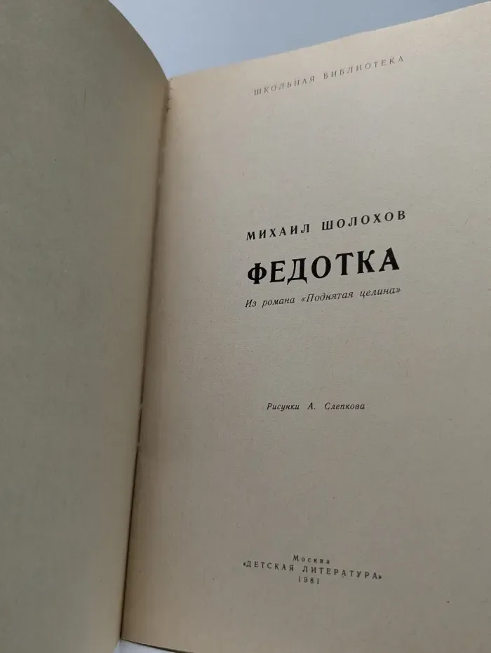 Школьная библиотека. Федотка