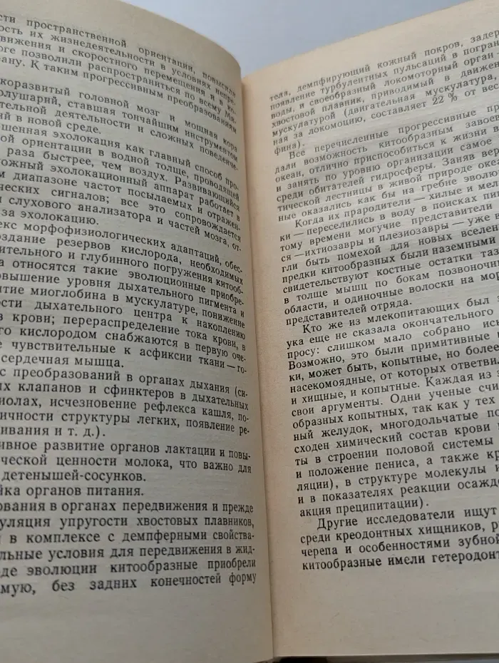 Библиотека Знание. Снова в воду