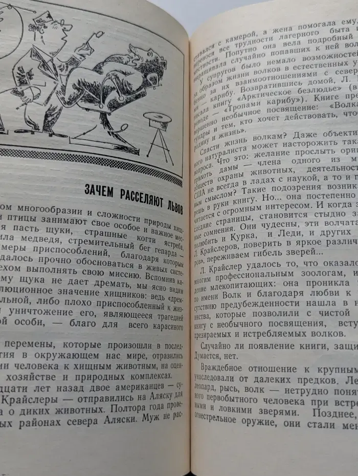 Эврика. Профиль равновесия