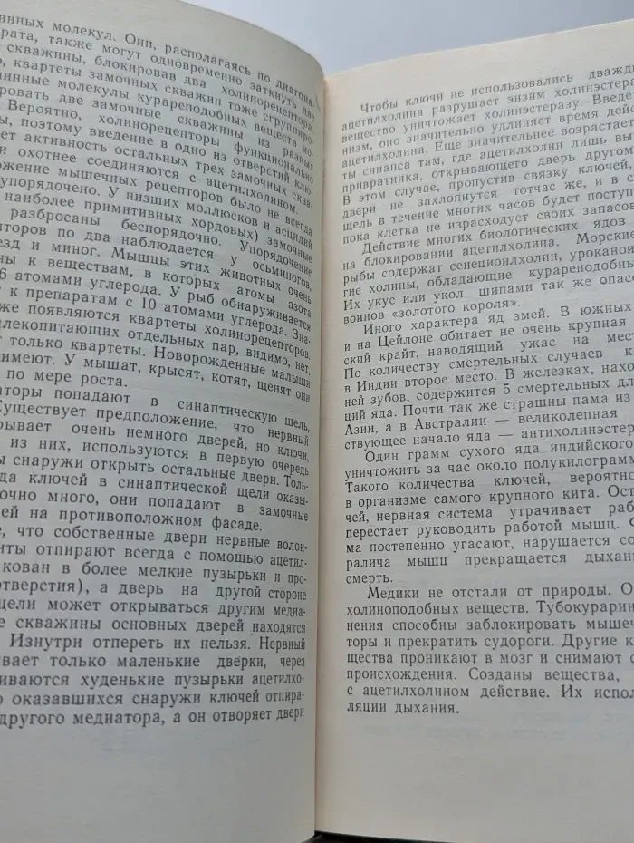Эврика. Тайны памяти