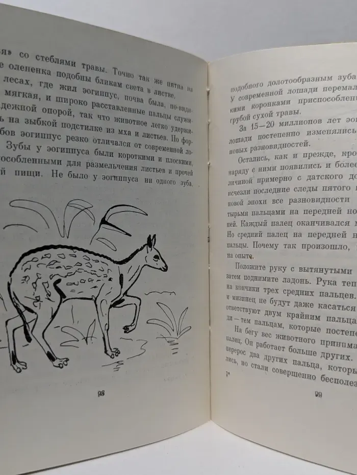 Диковинные звери
