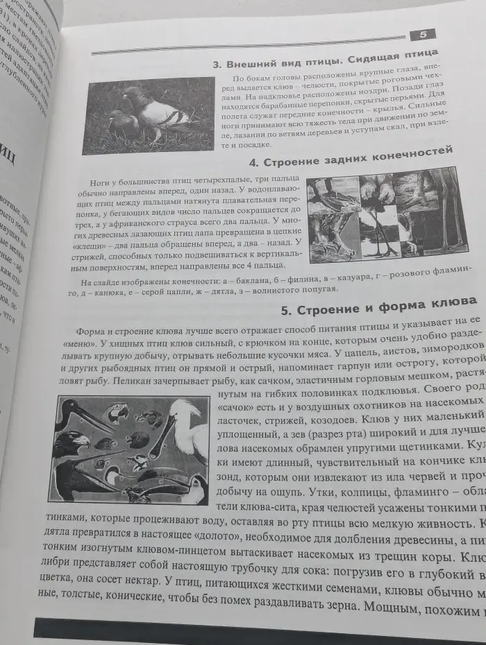 Мир биологии. Птицы