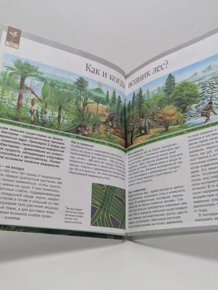 Детская энциклопедия Махаон. Мир леса