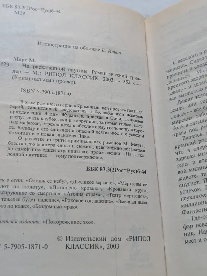 Криминальный проект. На раскаленной паутине