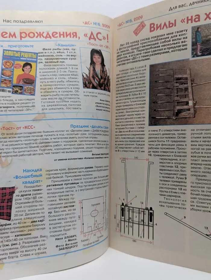 Делаем сами. Выпуск № 6/2009