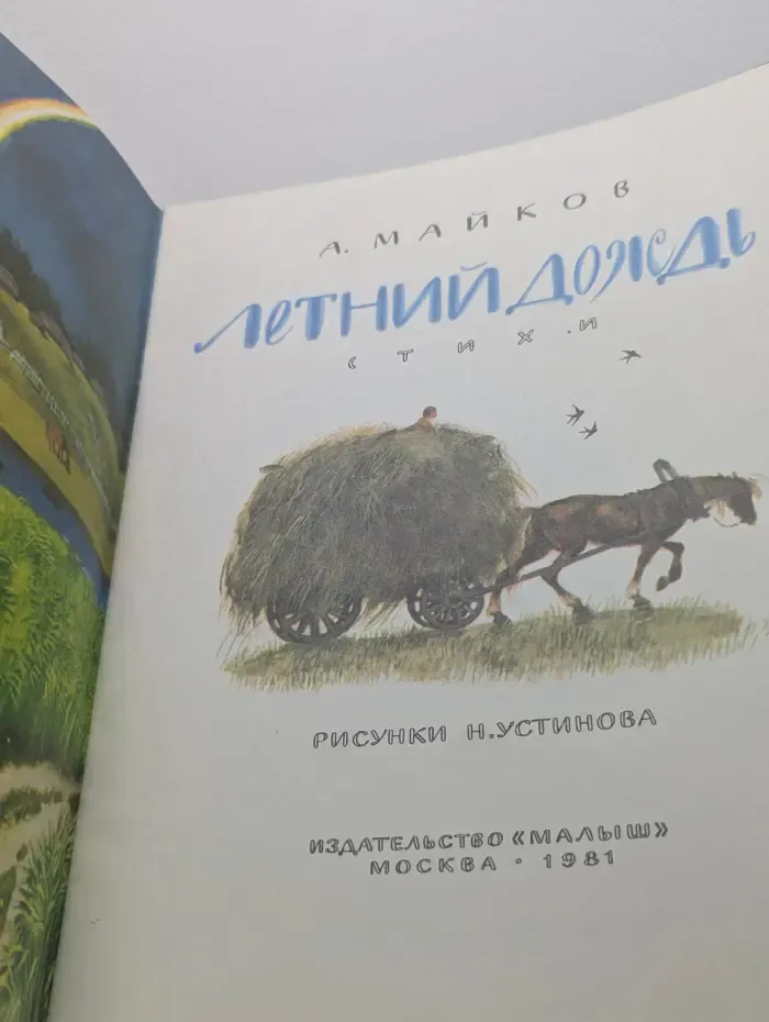 Летний дождь