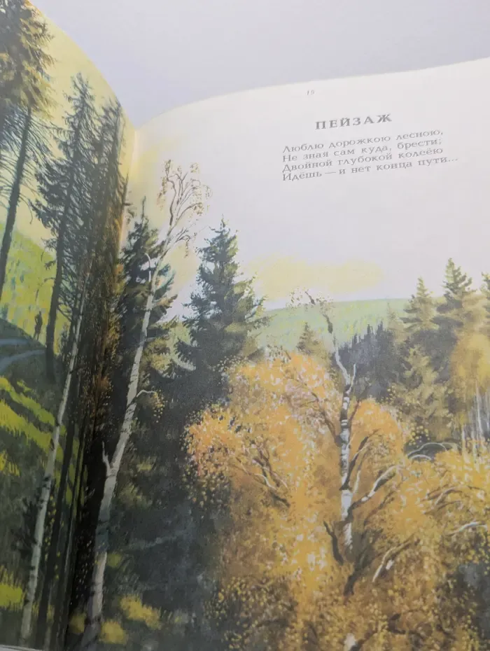Летний дождь
