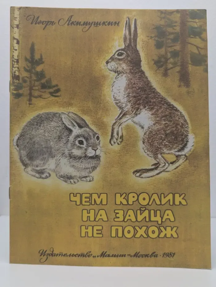 Чем кролик на зайца не похож