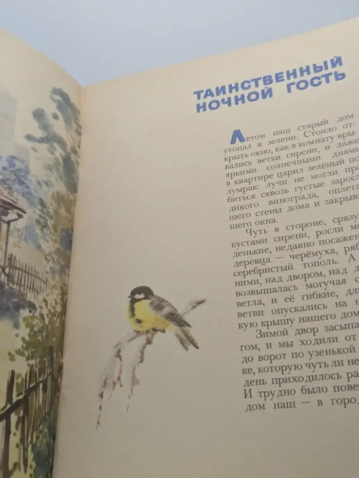 Таинственный ночной гость