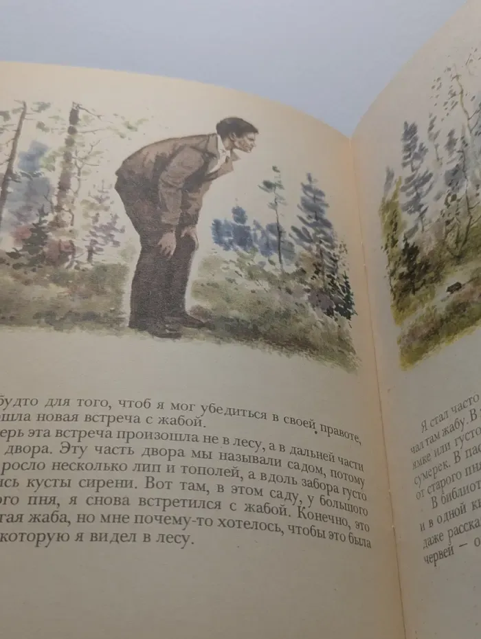 Таинственный ночной гость