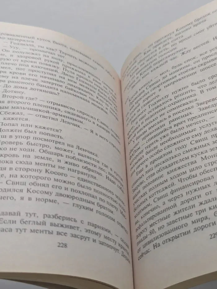Господин адвокат. Гейша