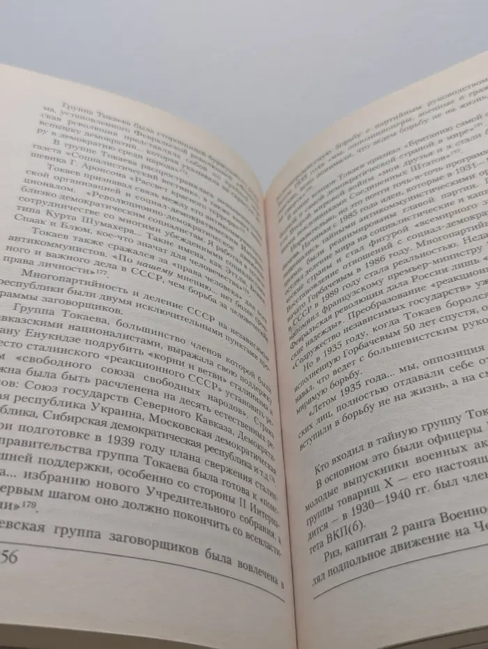 Сталинист. Запрещенный Сталин
