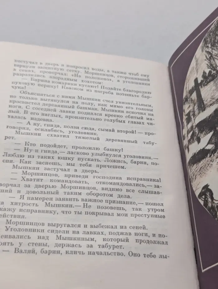 Пламенные революционеры. Сны Шлиссельбургской крепости