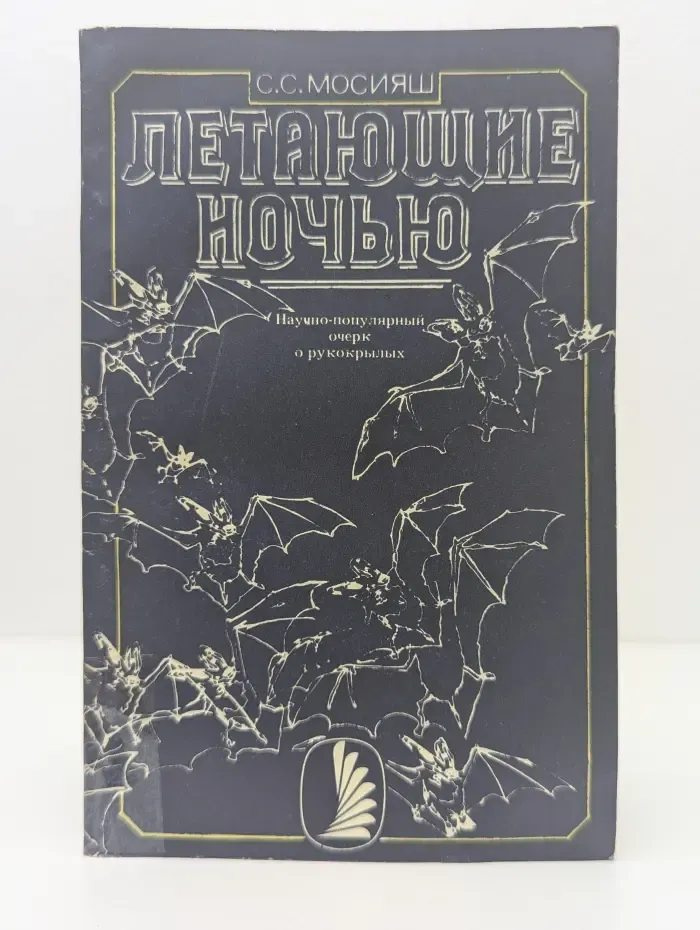 Летающие ночью