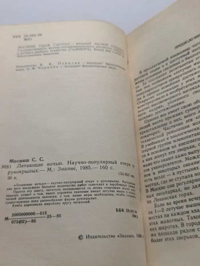 Летающие ночью