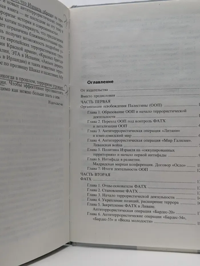 Терроризм. Палестинские истоки