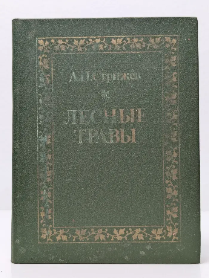 Лесные травы
