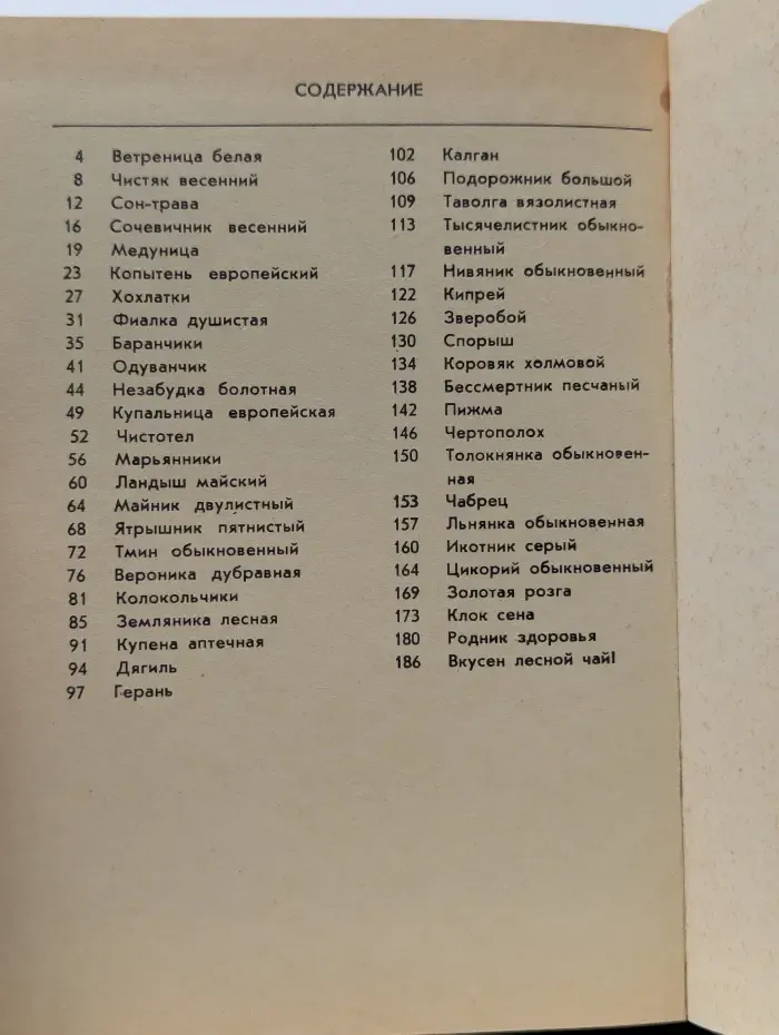 Лесные травы