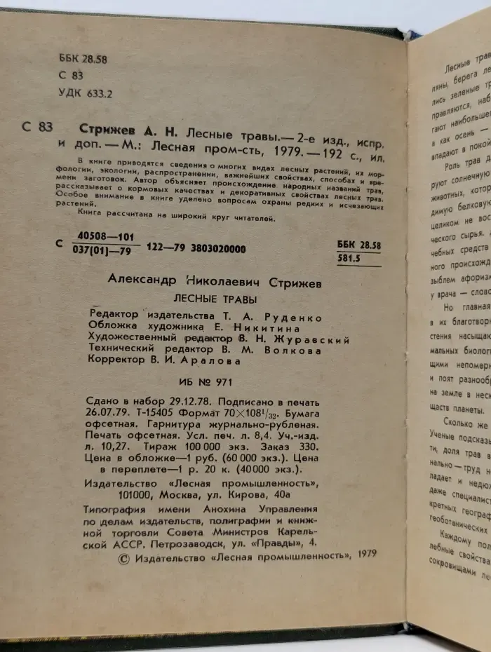 Лесные травы
