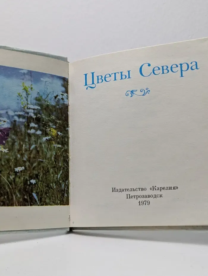 Цветы Севера