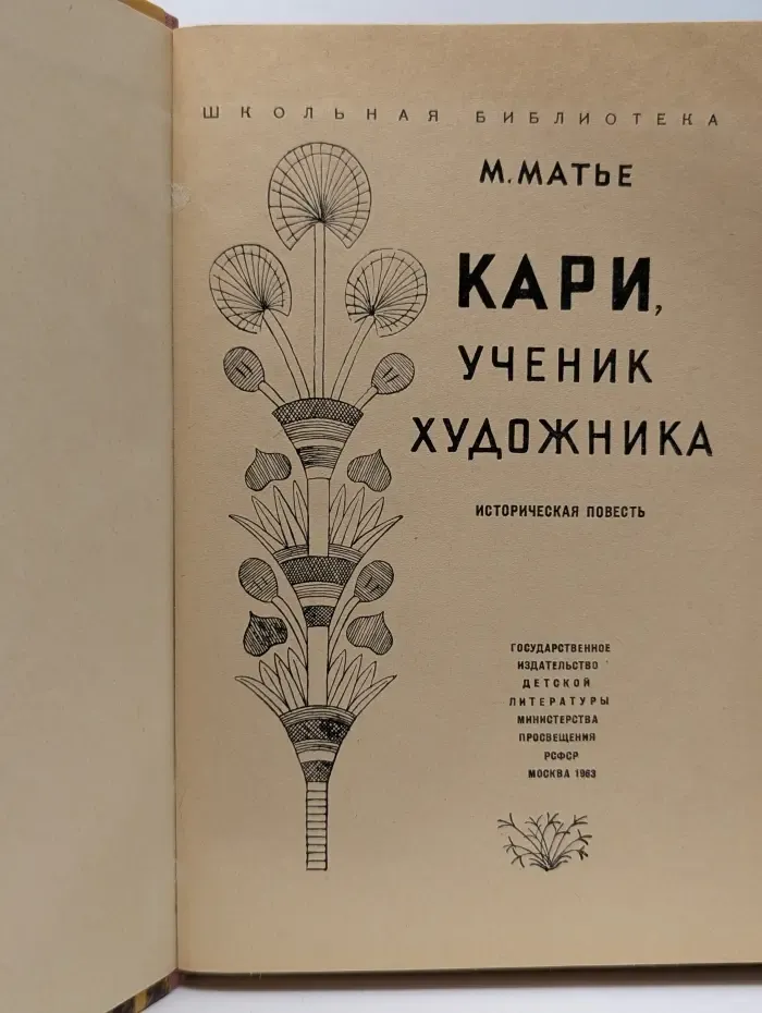 Школьная библиотека. Кари, ученик художника