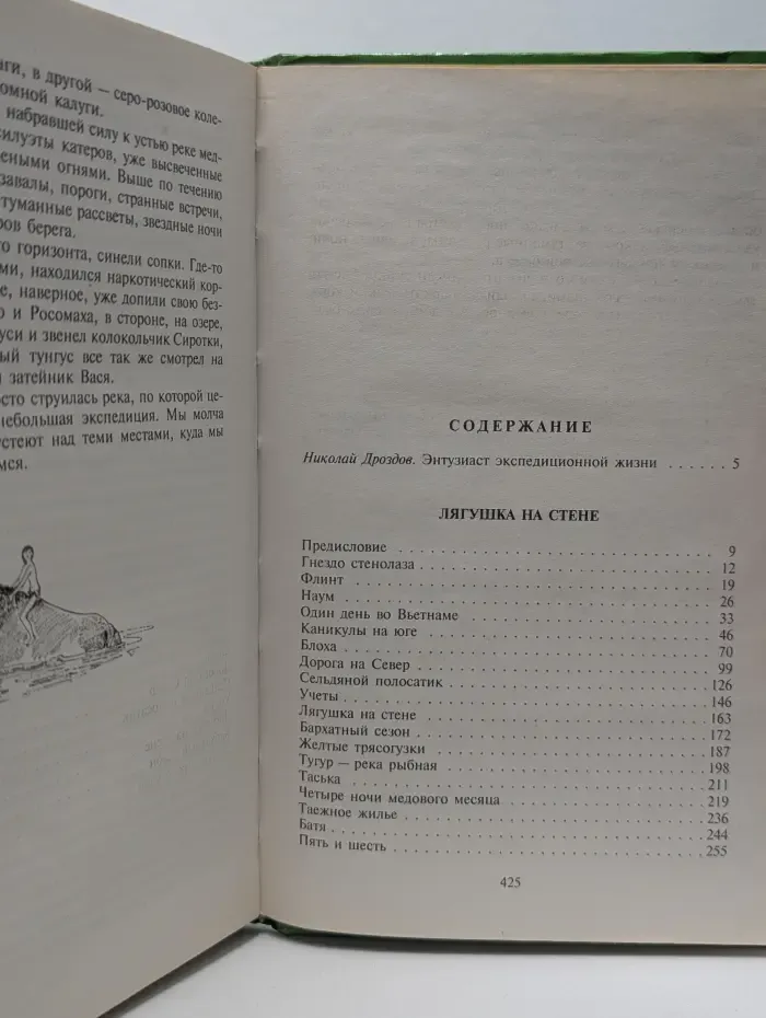 Зеленая серия. Лягушка на стене