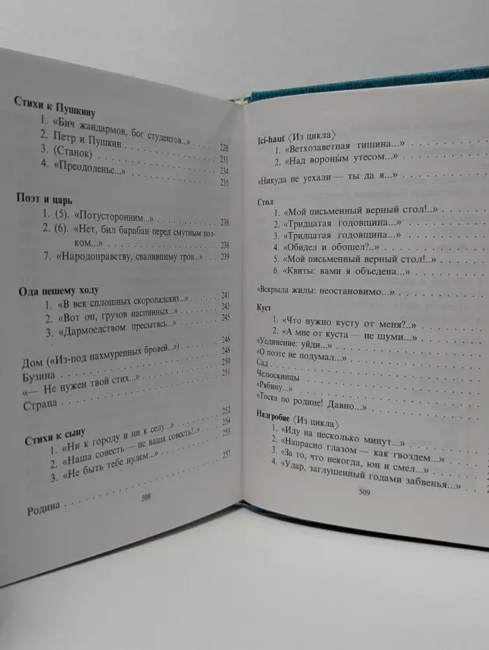 Библиотека классической поэзии. Марина Цветаева. Стихотворения. Поэмы. Мой Пушкин