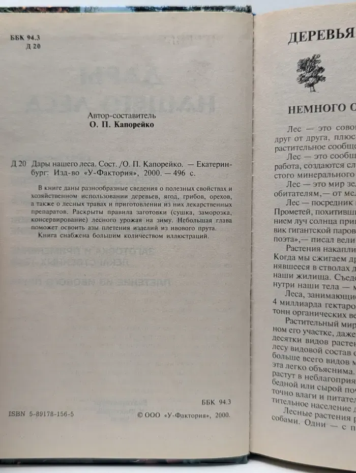 Дары нашего леса