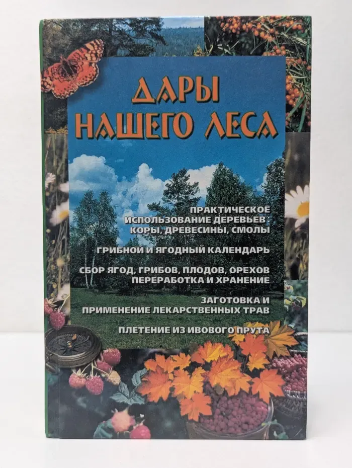 Дары нашего леса
