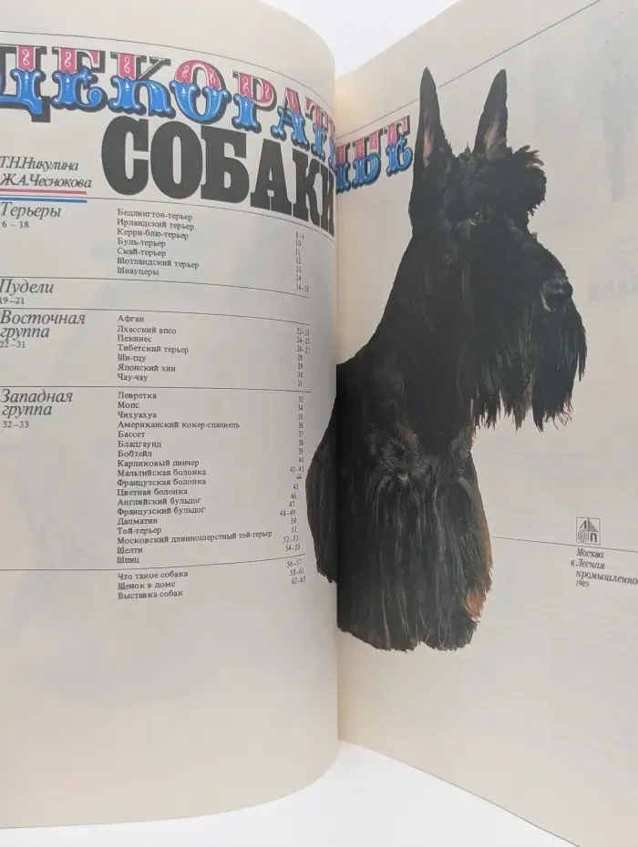 Декоративные собаки