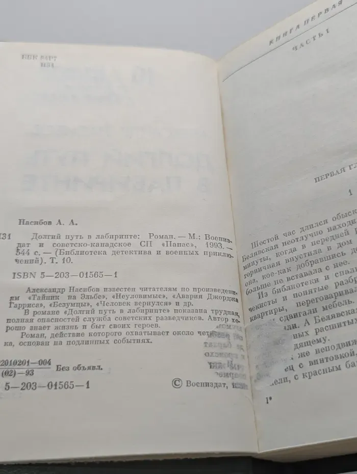 Библиотека детектива и военных приключений. Том 10. Долгий путь в лабиринте