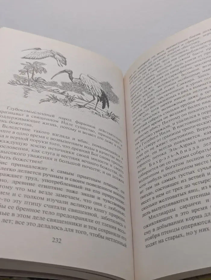Зеленая серия Вокруг света. Путешествие по Северо-Восточной Африке. 1849-1852