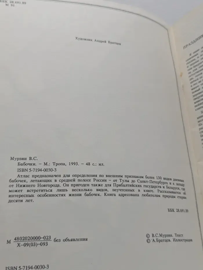Бабочки