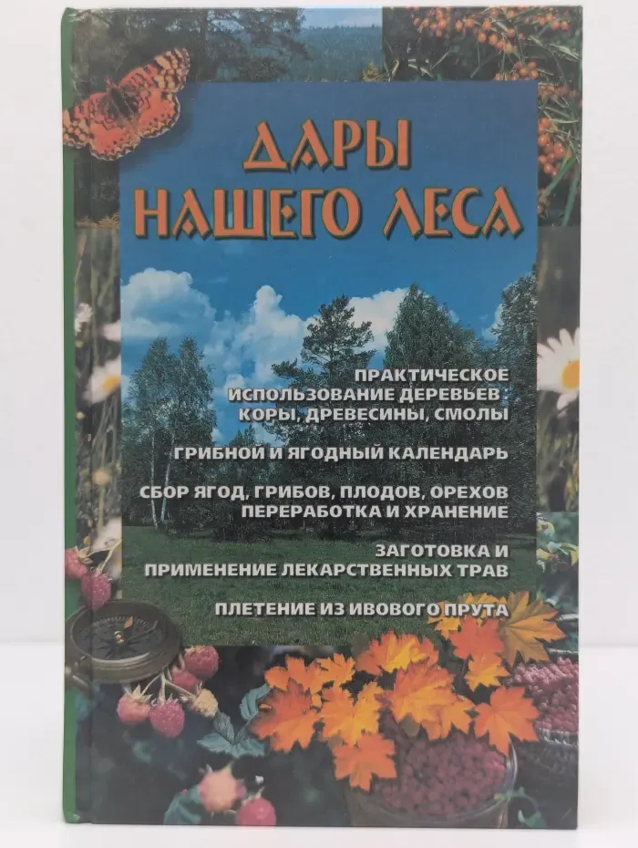 Дары нашего леса