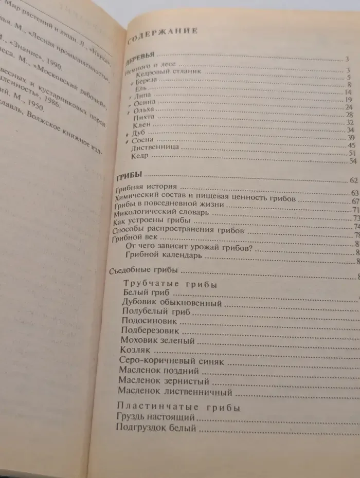 Дары нашего леса