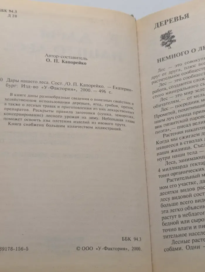 Дары нашего леса
