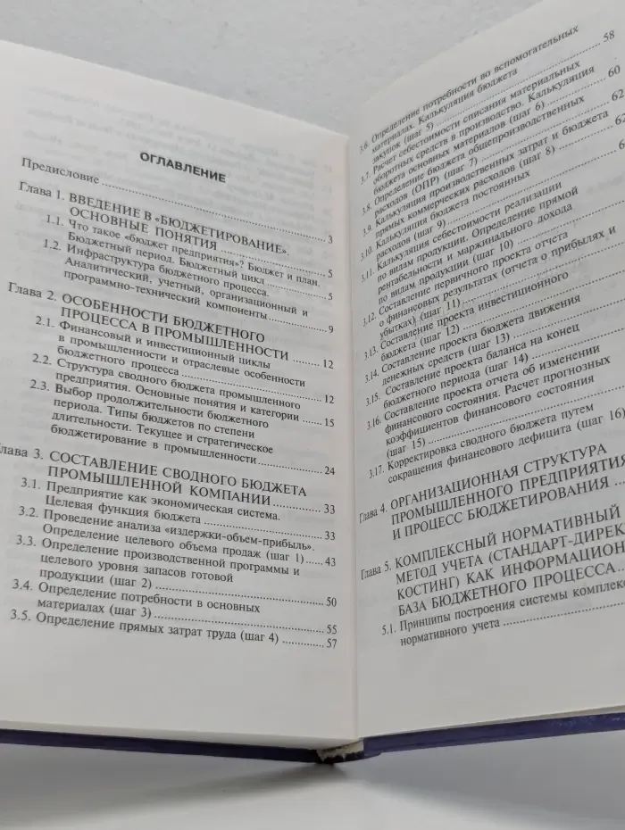 Бюджетирование деятельности промышленных предприятий России