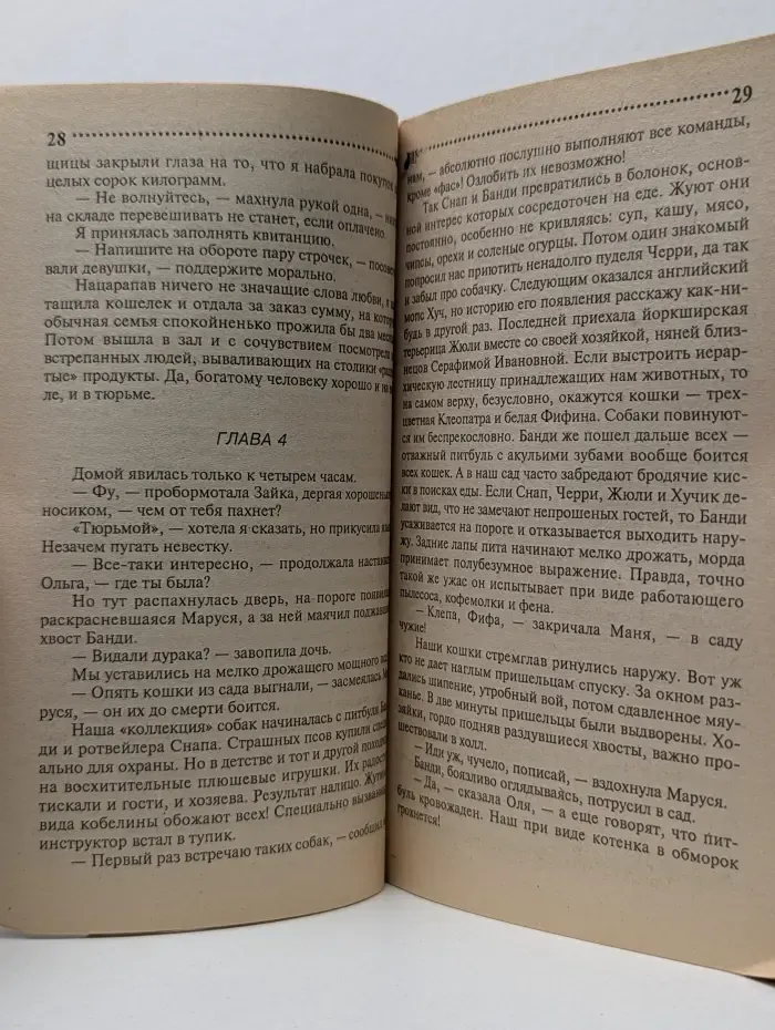 Иронический детектив. Жена моего мужа