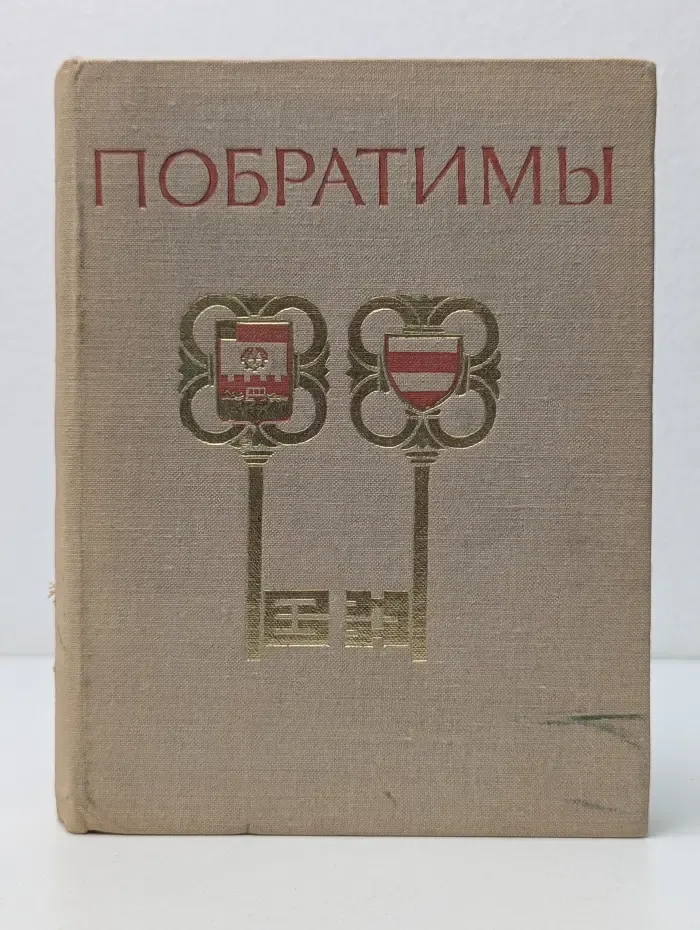 Побратимы