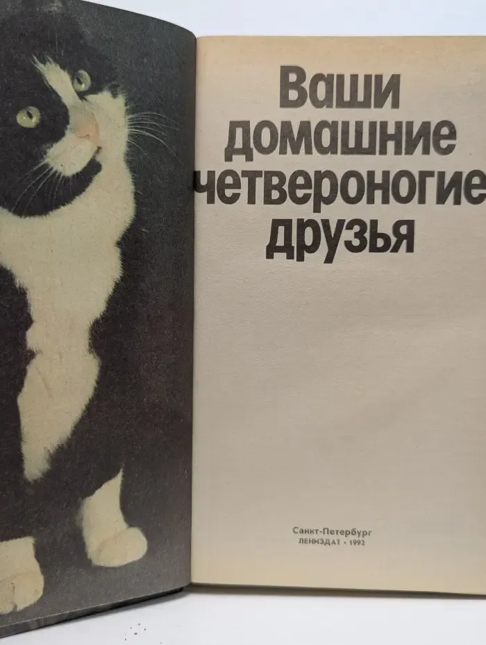 Ваши домашние четвероногие друзья