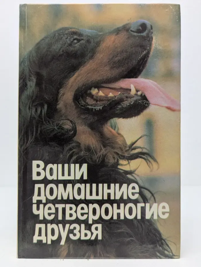 Ваши домашние четвероногие друзья