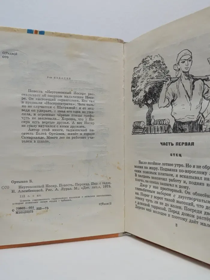 Неугомонный Носир